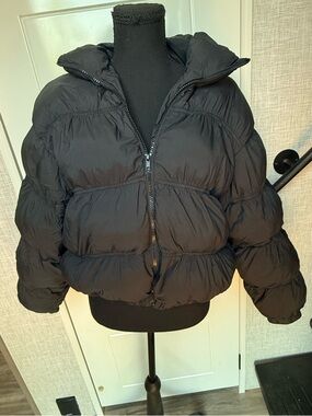 wild fable Black Jacket with Green Label